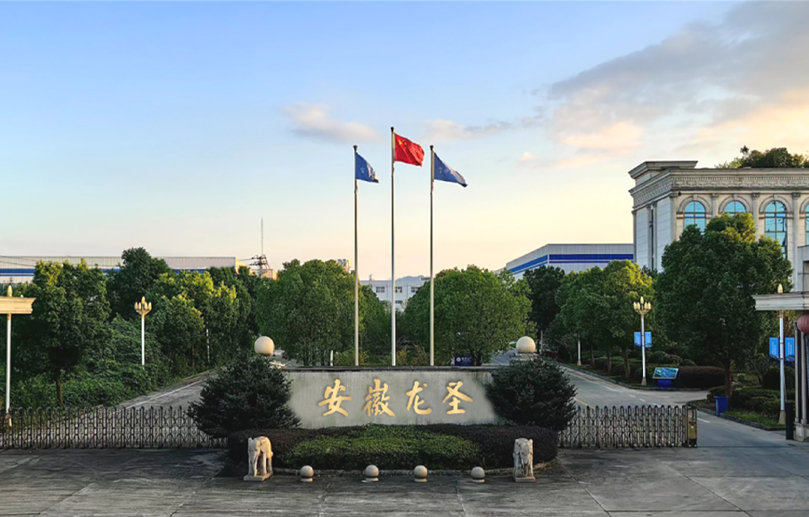Anhui Longsheng New Material Technology Co., Ltd.
